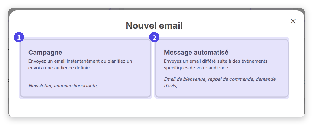 Exemple de site web Popup Nouvel email