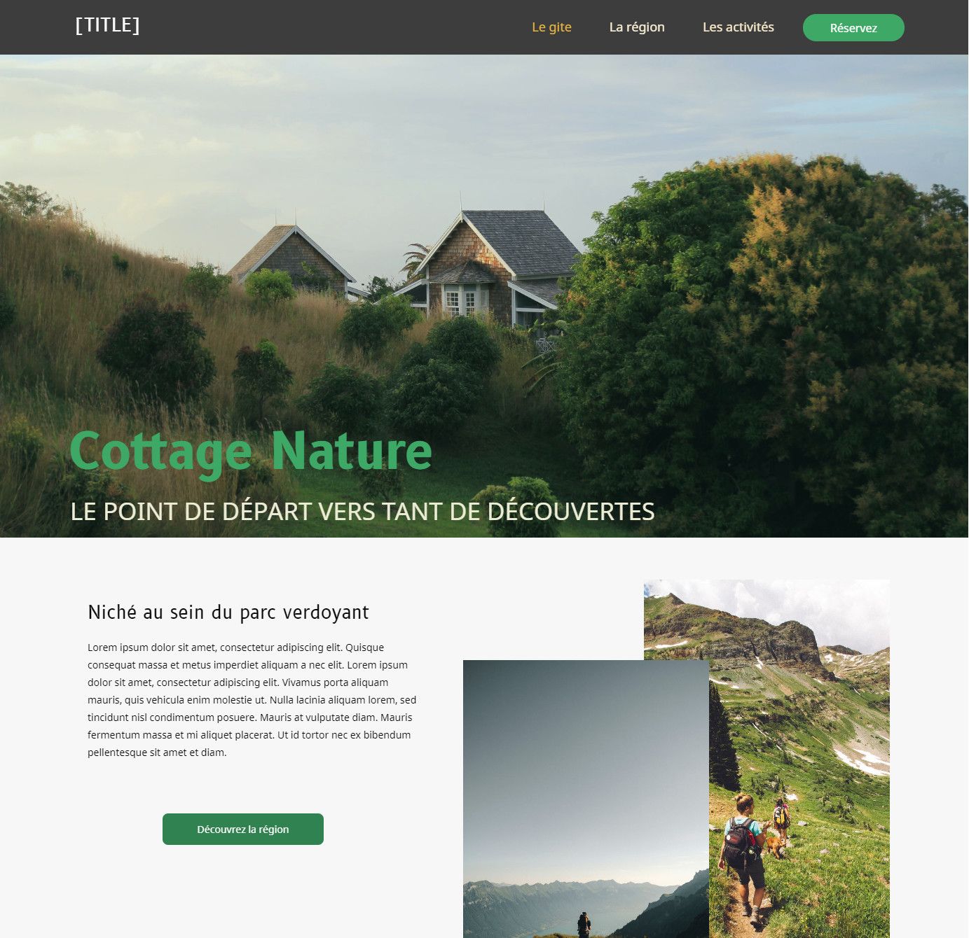 Homepage bauen lassen