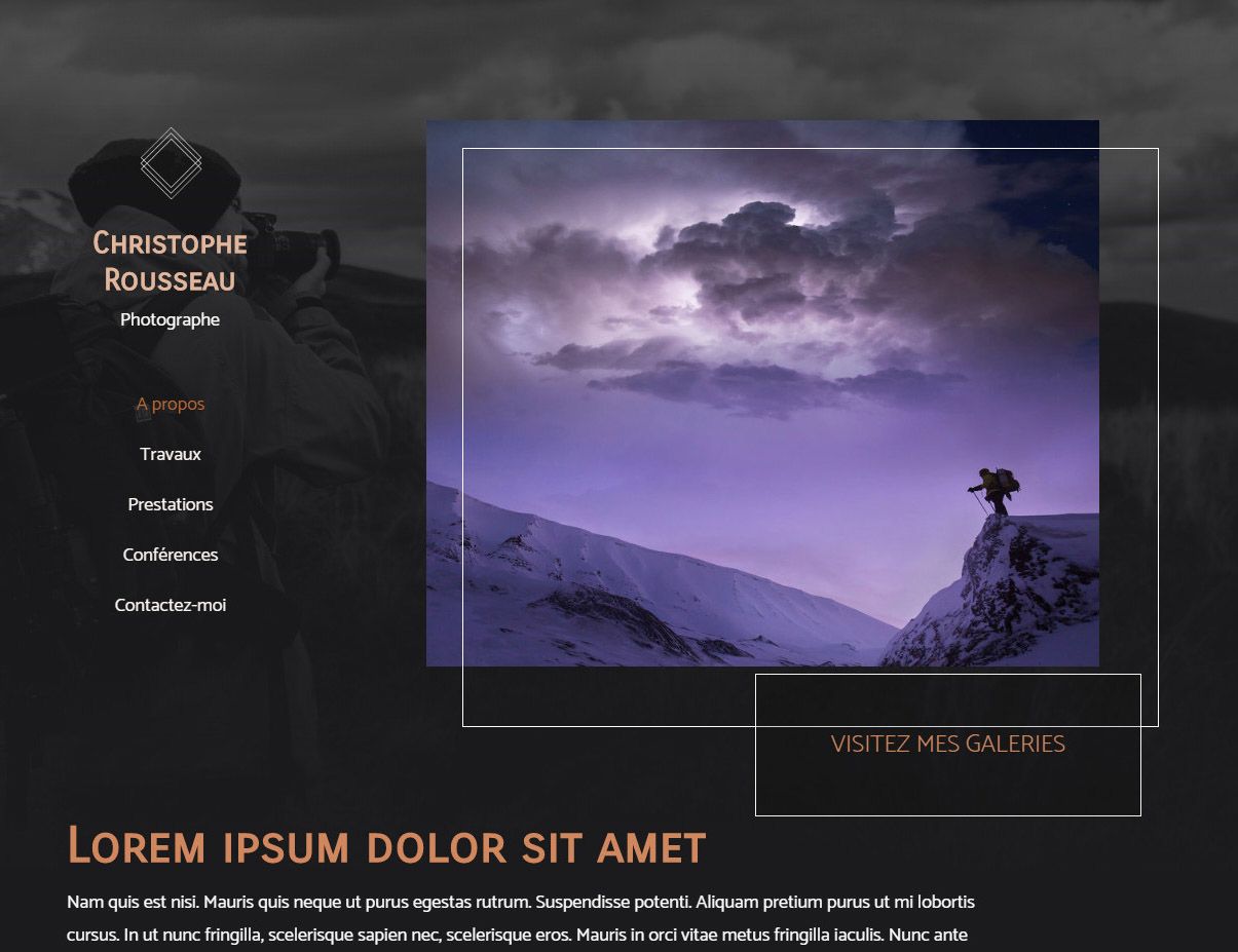 Websites erstellen lassen